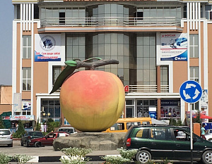 Столица абрикосов: г.Исфара, Таджикистан